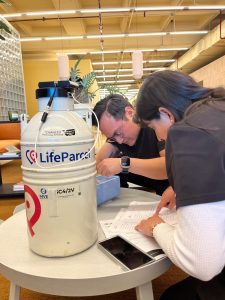 LifeParcel couriers check documentation to ensure safe hand carry IVF shipping