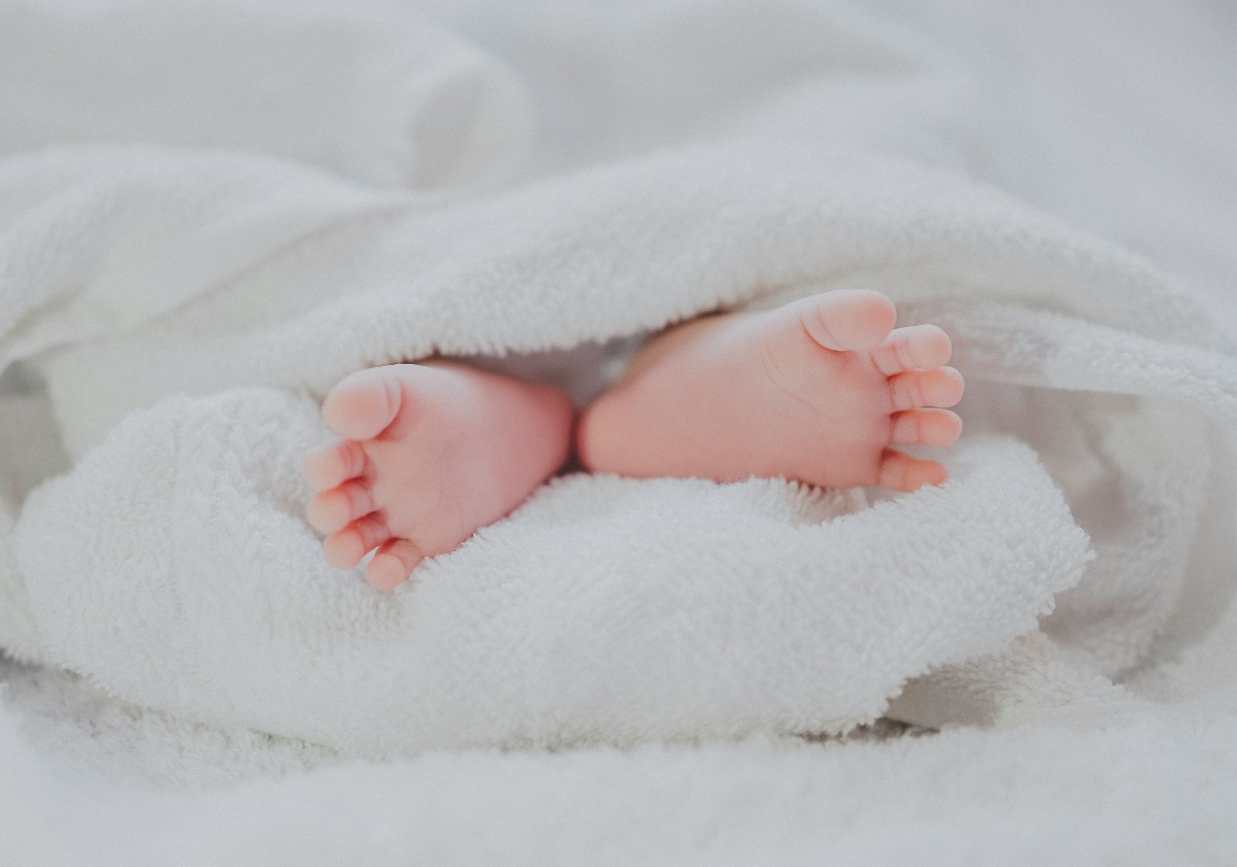 The Future of Fertility Preservation: What's Next for Patients? - LifeParcel