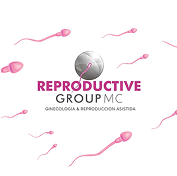 LOGO REPRODUCTIVE GROUP (1)