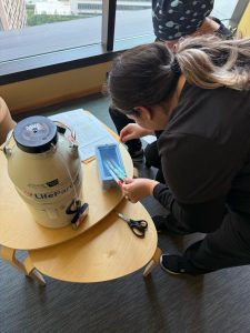 How to transport frozen embryos internationally — a step by step guide - 6 - LifeParcel LifeParcel's dry shippers for frozen embyro transport