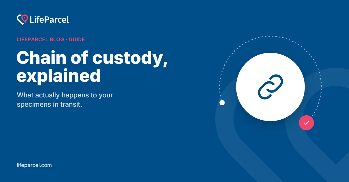 Chain of custody, explained
